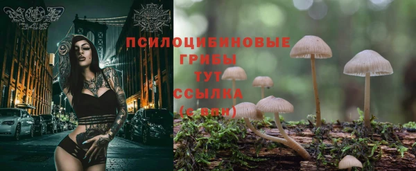 меф Белокуриха