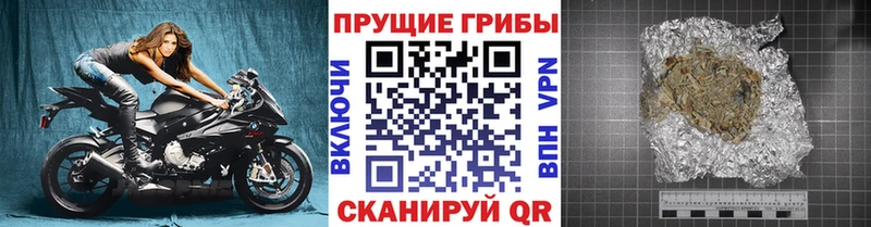 Псилоцибиновые грибы Cubensis  Купить  Лермонтов 